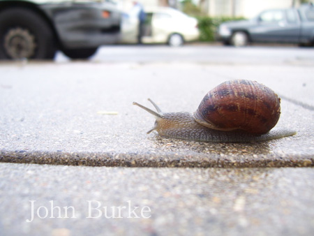 photos/slug.jpg